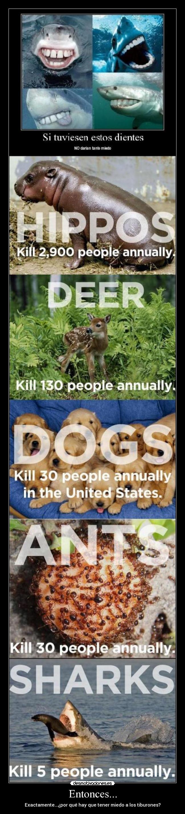 Entonces... - Exactamente...¿por qué hay que tener miedo a los tiburones?