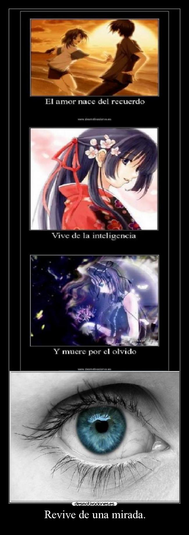 Revive de una mirada. - 