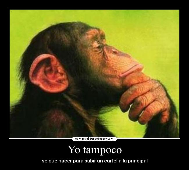 Yo tampoco - 