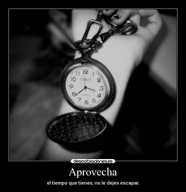 Aprovecha - 