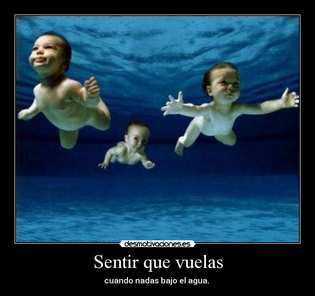 carteles piscinas desmotivaciones