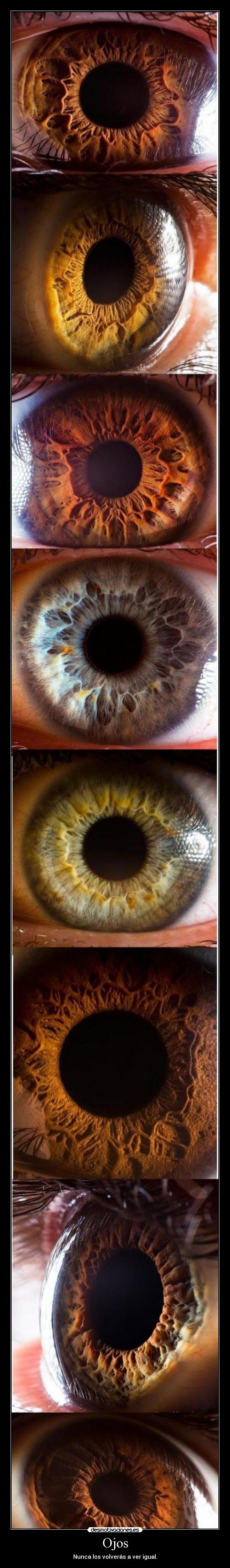 Ojos - Nunca los volverás a ver igual.