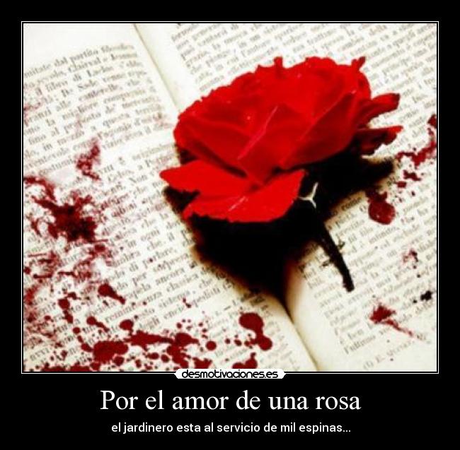 carteles amor rosas amor espinas desmotivaciones