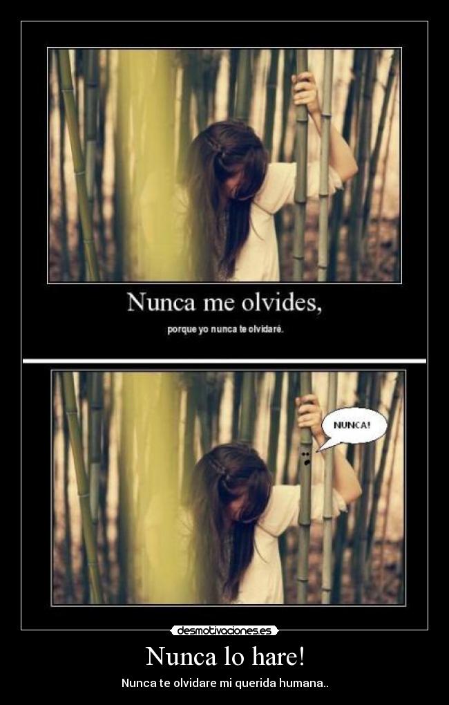 Nunca lo hare! - Nunca te olvidare mi querida humana..