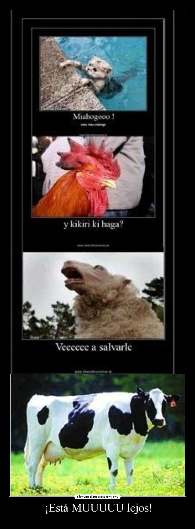 ¡Está MUUUUU lejos! - 