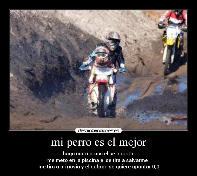 carteles rayser desmotivaciones