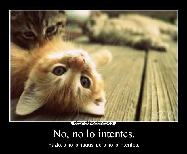 No, no lo intentes. -