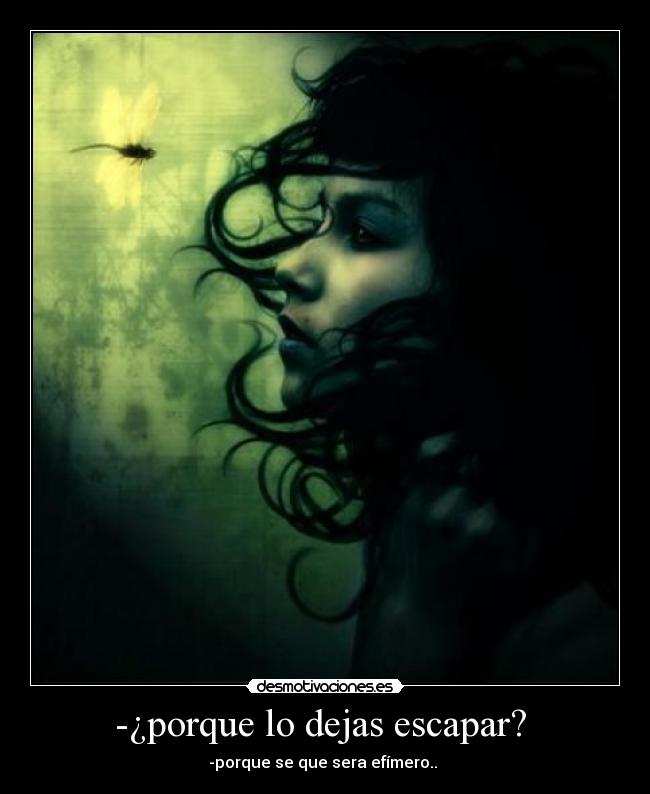 -¿porque lo dejas escapar?  - 
