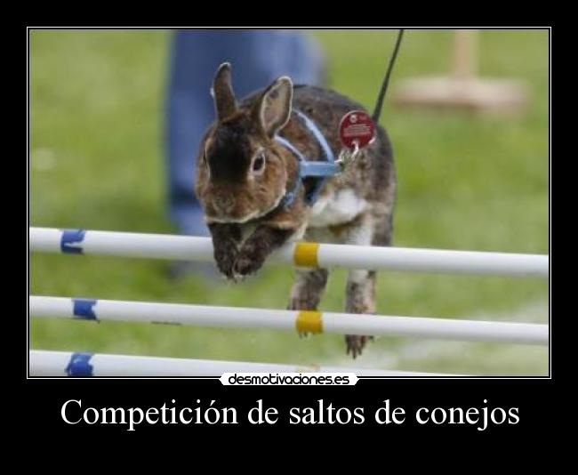 carteles fefeeeweweewewewew desmotivaciones