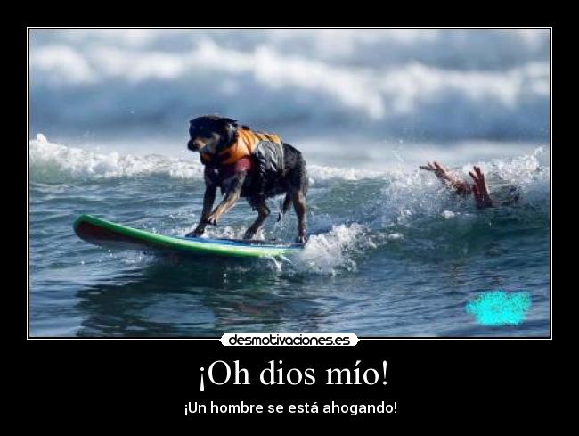carteles dios perro surfeando hombre ahogandose playa mar desmotivaciones