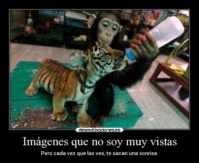 Imágenes que no soy muy vistas -