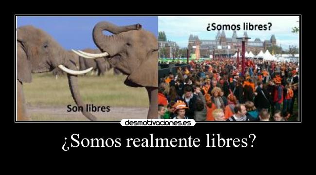 carteles kkk desmotivaciones