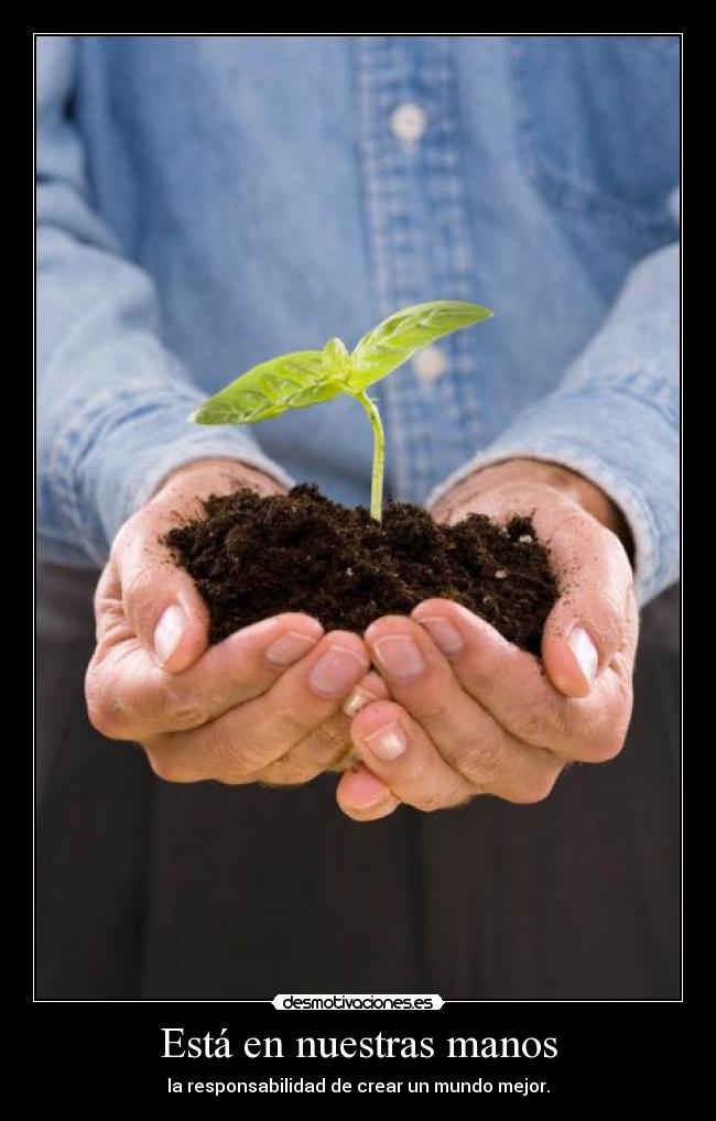 Está en nuestras manos -