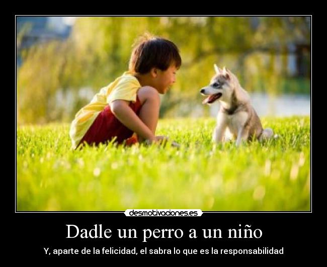carteles nino perro responsabilidad felicidad desmotivaciones