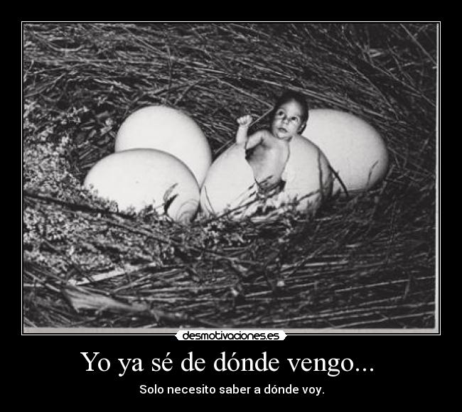 Yo ya sé de dónde vengo...  - Solo necesito saber a dónde voy.