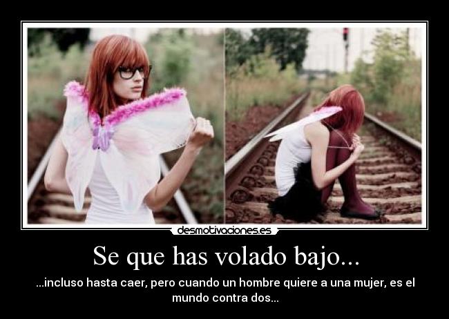 Se que has volado bajo... - 