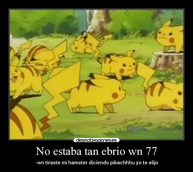 No estaba tan ebrio wn 77 - -wn tiraste mi hamster diciendo pikachhhu yo te elijo