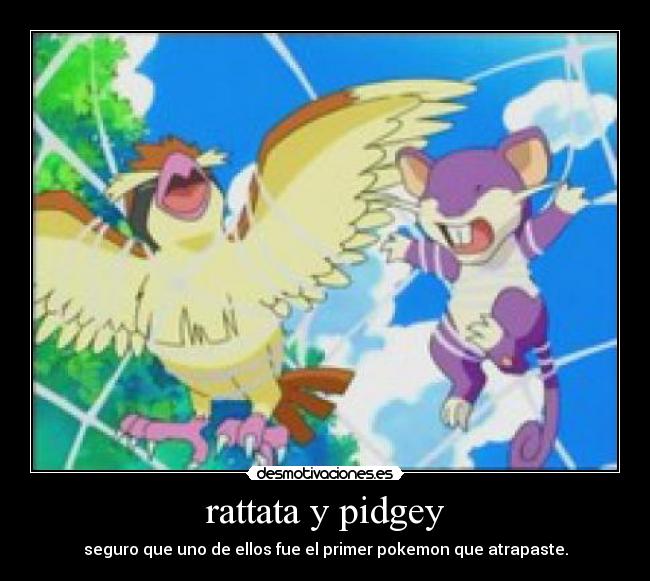 rattata y pidgey - seguro que uno de ellos fue el primer pokemon que atrapaste.