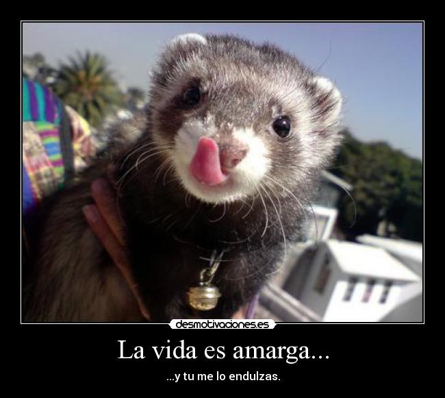La vida es amarga... - 