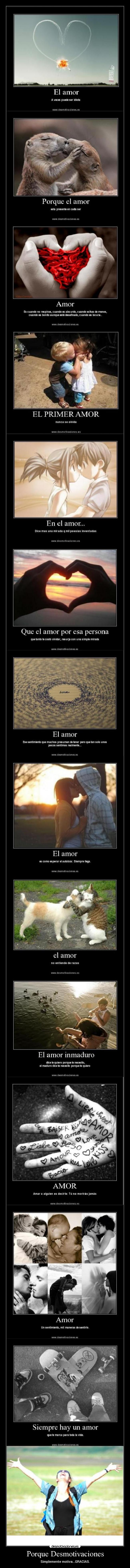 Porque Desmotivaciones -