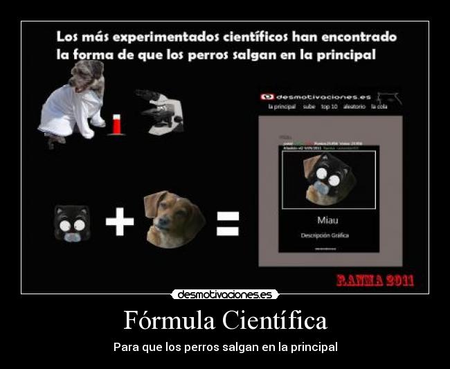 carteles gatosperro principal formula cientificos desmotivaciones