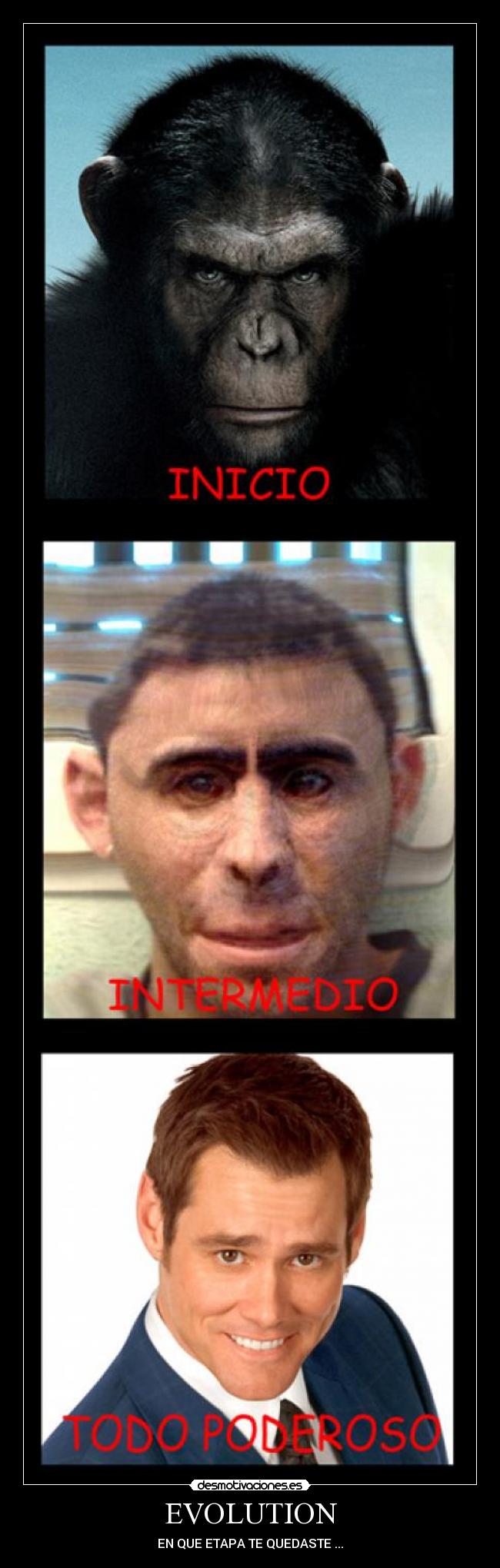 EVOLUTION - EN QUE ETAPA TE QUEDASTE ...