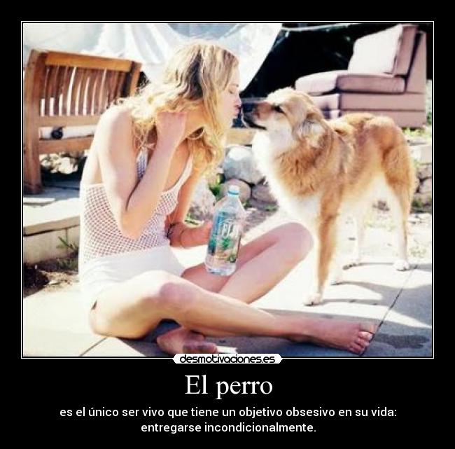 El perro - 