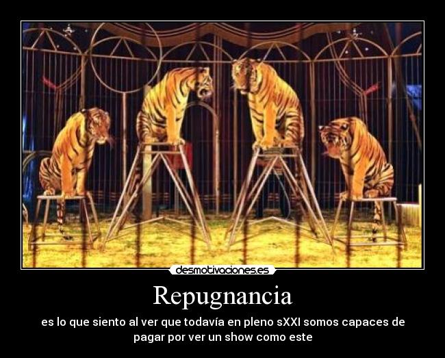 Repugnancia - es lo que siento al ver que todavía en pleno sXXI somos capaces de
pagar por ver un show como este