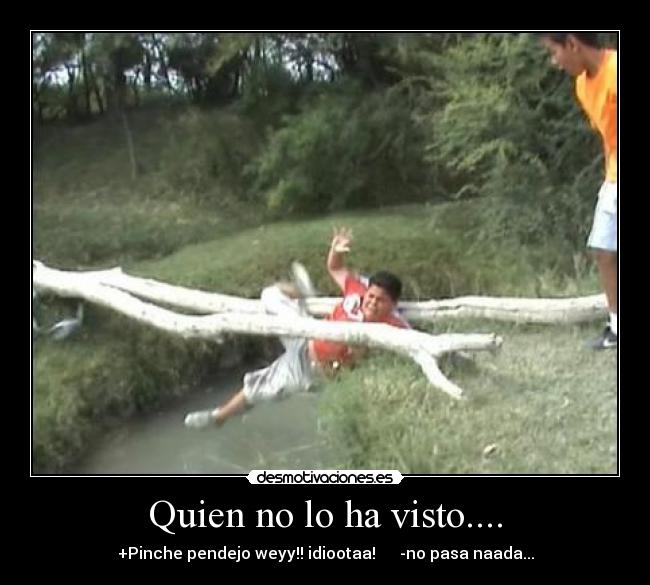 Quien no lo ha visto.... - 