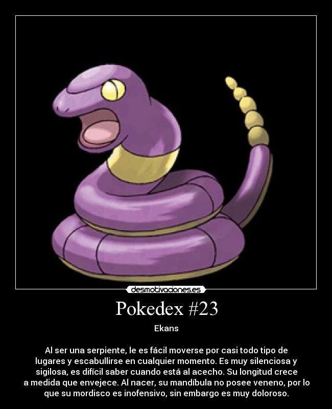Pokedex #23 -