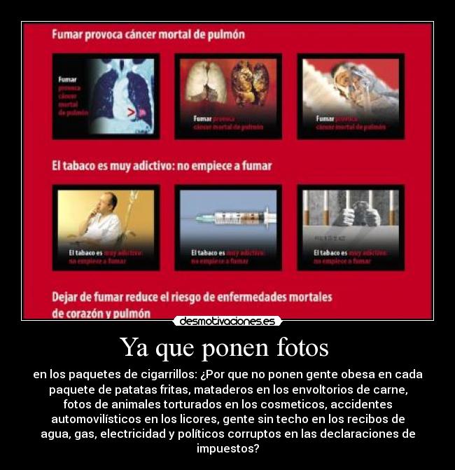 Ya que ponen fotos  - 
