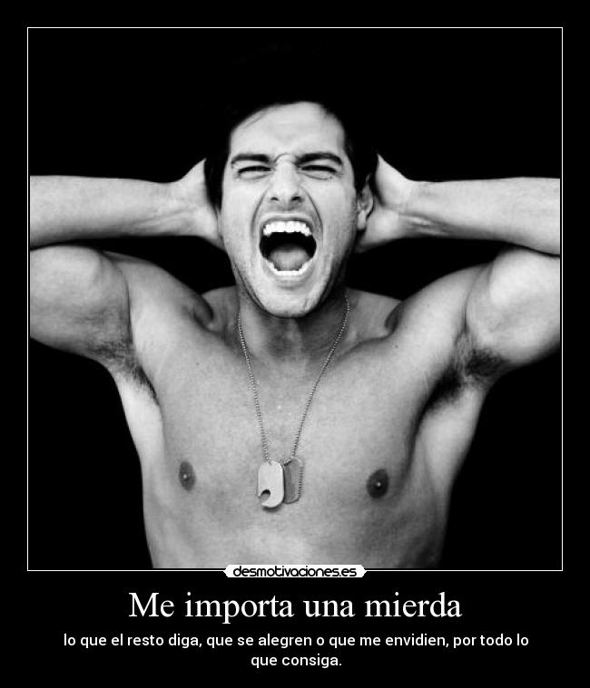 carteles she desmotivaciones