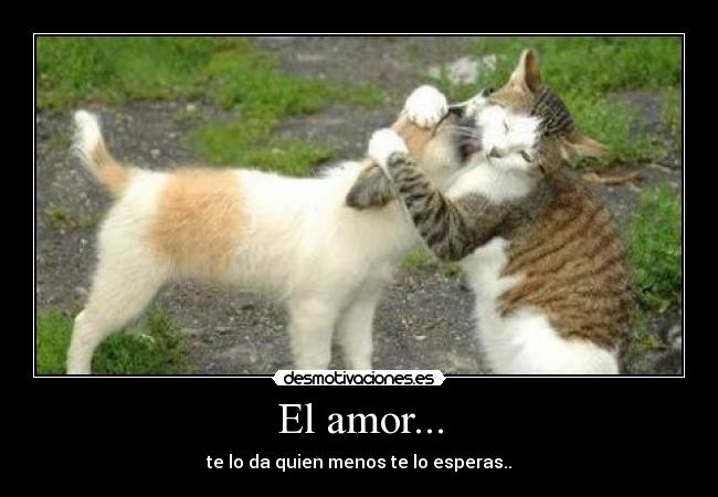 El amor... - te lo da quien menos te lo esperas..♥