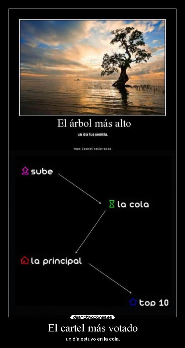 El cartel más votado -