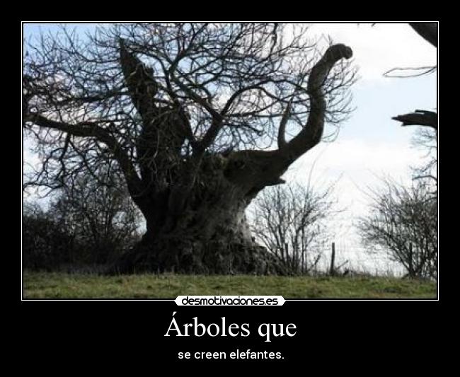 Árboles que - se creen elefantes.