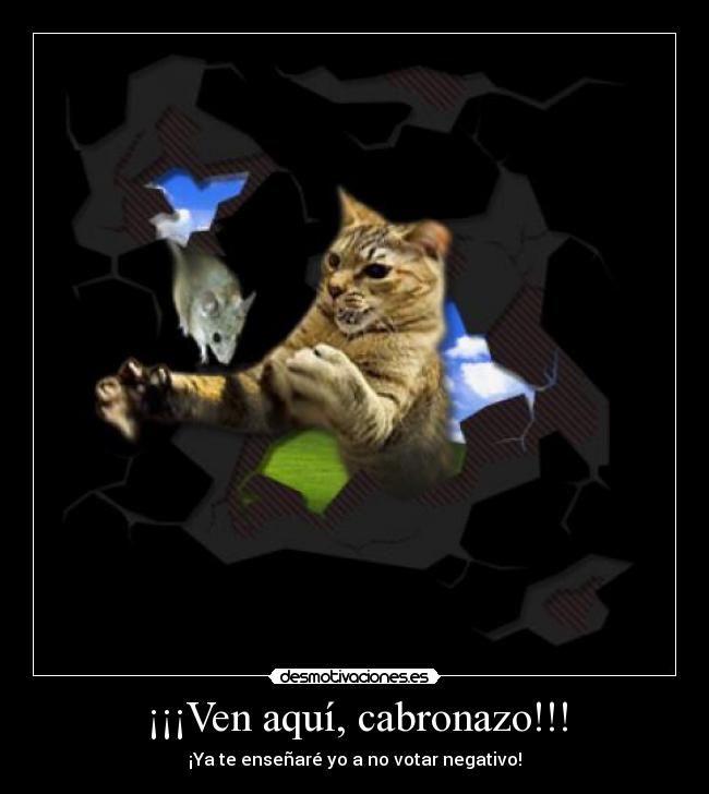 ¡¡¡Ven aquí, cabronazo!!! -