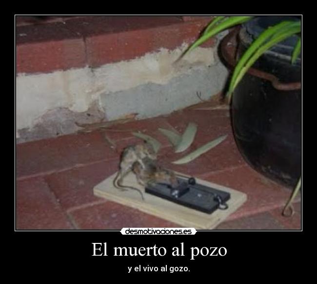 Resultado de imagen de el muerto al pozo
