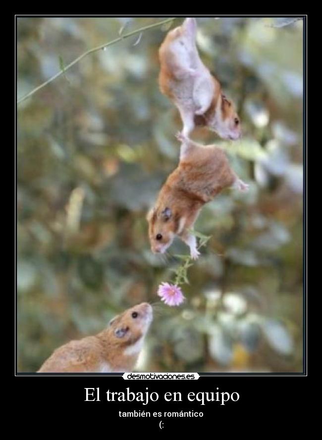 El trabajo en equipo - también es romántico
(: