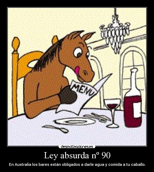 Ley absurda nº 90 - En Australia los bares están obligados a darle agua y comida a tu caballo.