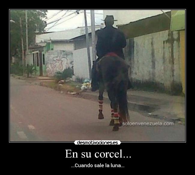 En su corcel... - ...Cuando sale la luna...