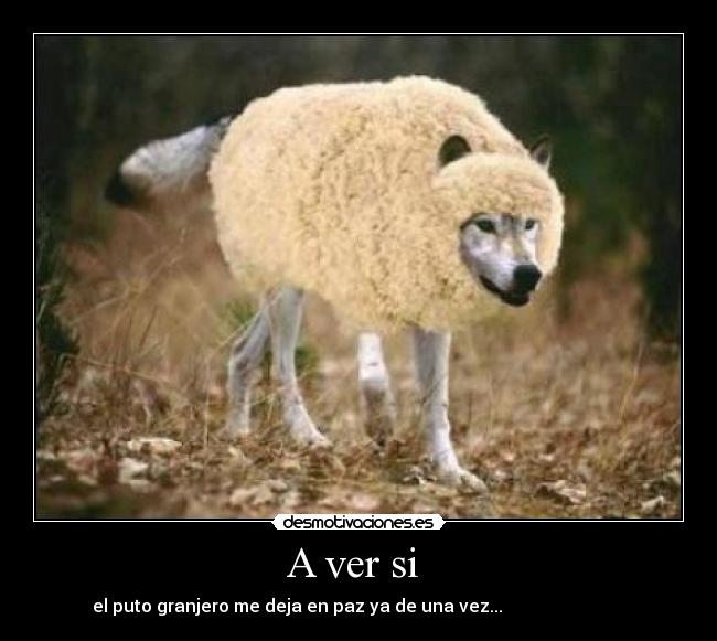 A ver si - el puto granjero me deja en paz ya de una vez...