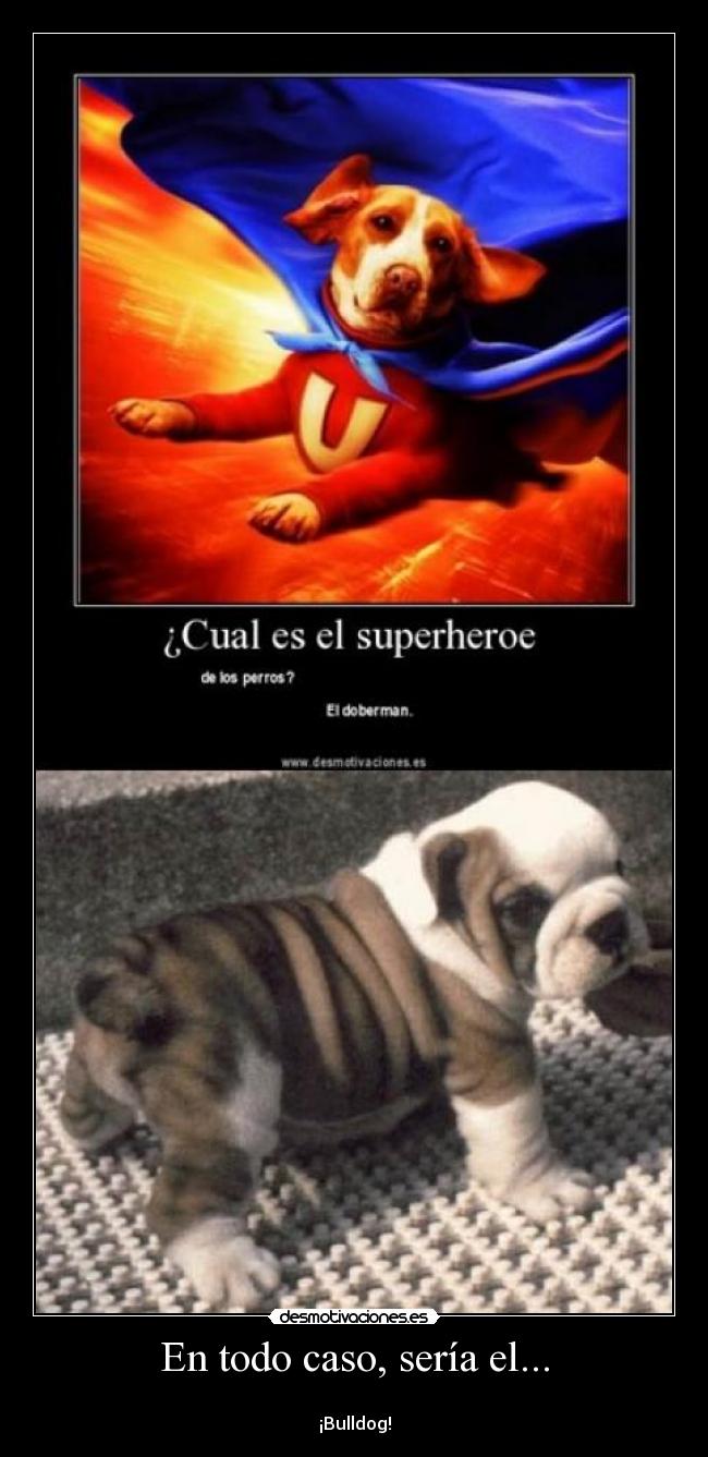 En todo caso, sería el... - 