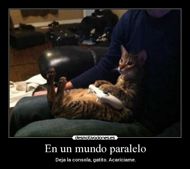 carteles mundo en un mundo paralelo deja la consola gatito acariciame el gato juega xbox chico esper desmotivaciones