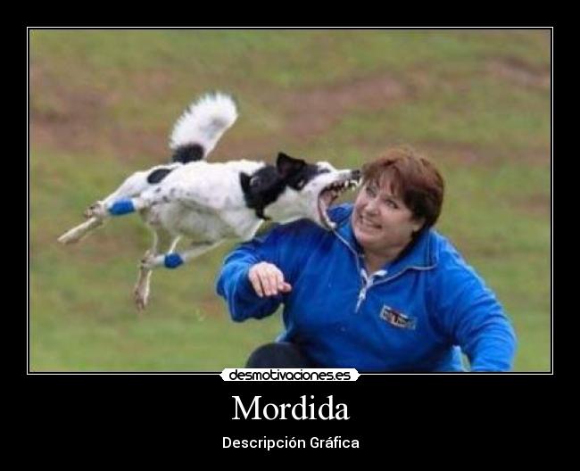 Mordida - Descripción Gráfica