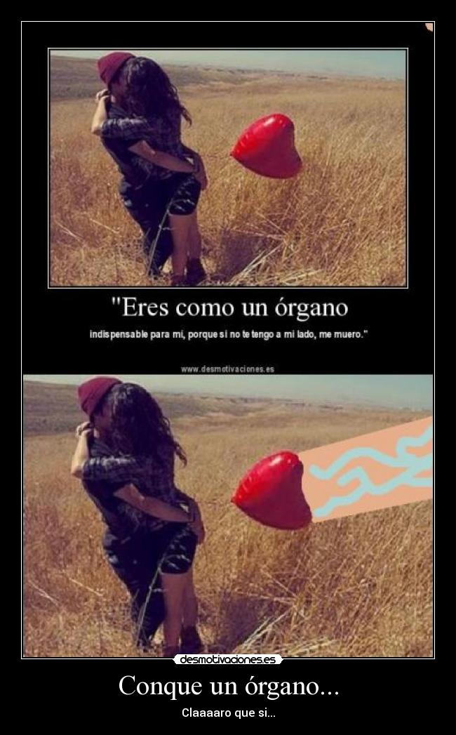 Conque un órgano... -