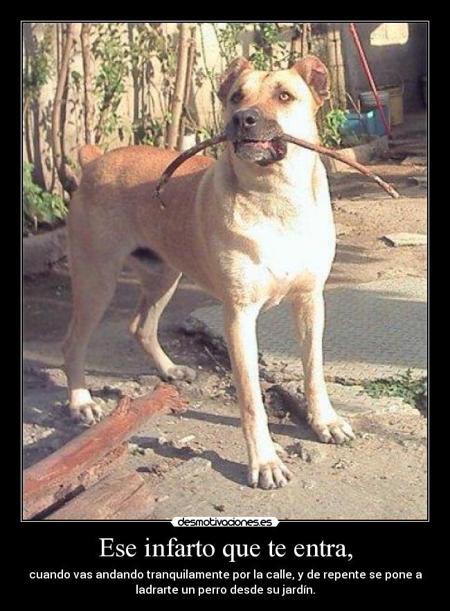 Ese infarto que te entra, - 