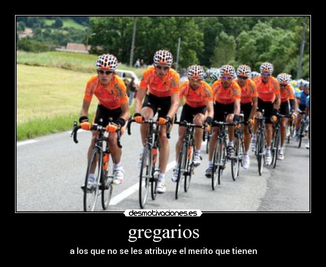 gregarios - a los que no se les atribuye el merito que tienen