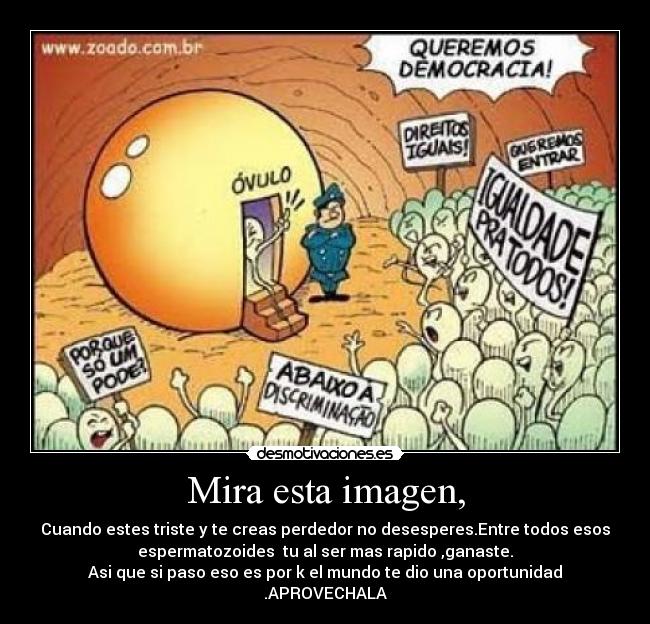 Mira esta imagen, - 