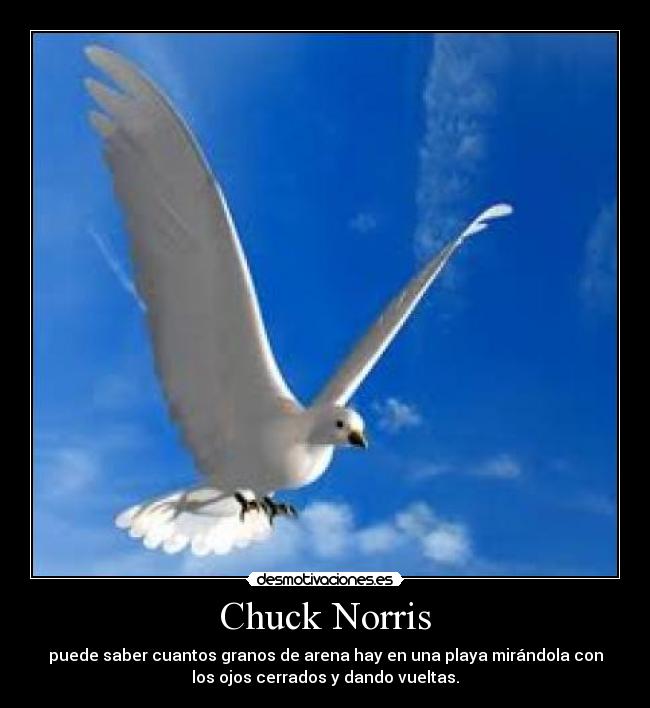Chuck Norris -