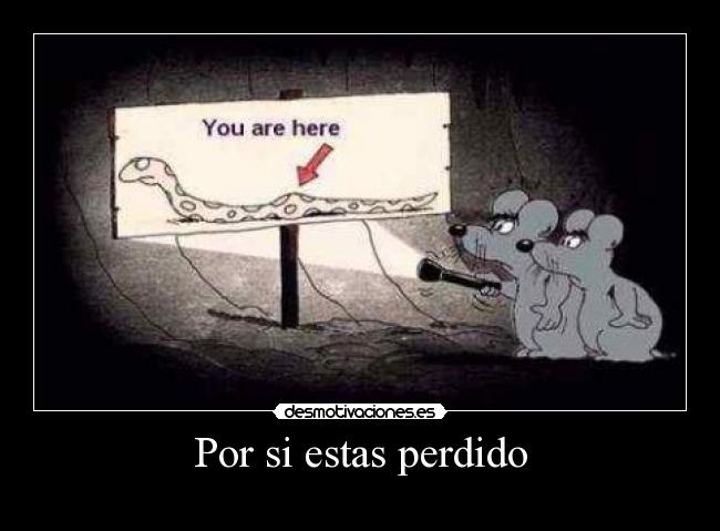 carteles fefeeeweweewewewew desmotivaciones